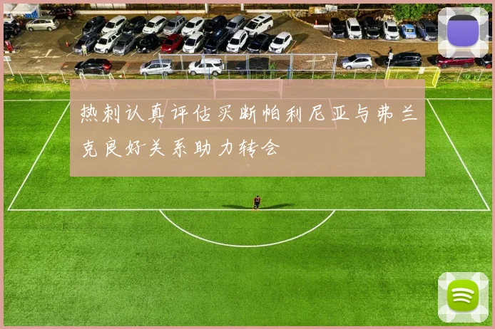 热刺认真评估买断帕利尼亚与弗兰克良好关系助力转会