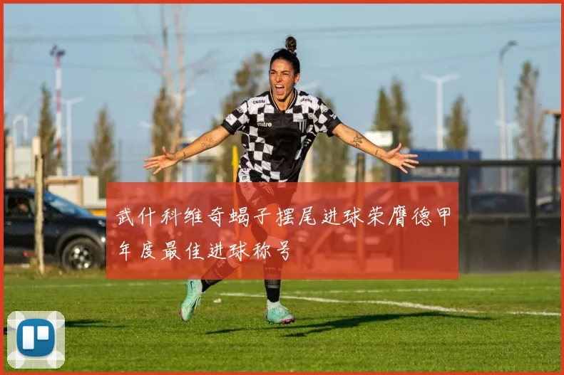 武什科维奇蝎子摆尾进球荣膺德甲年度最佳进球称号
