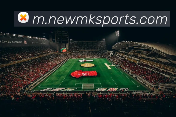 MK体育APP 封面图